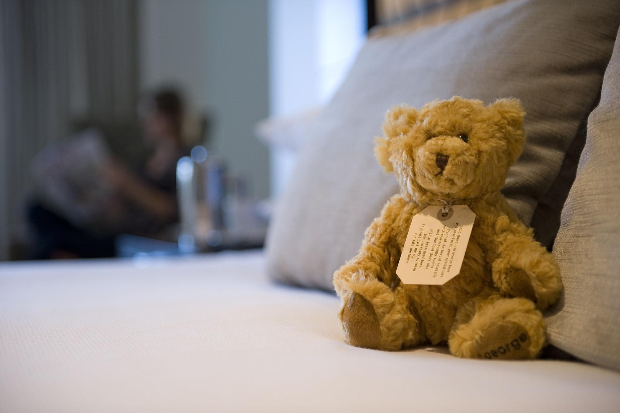 The George Hotell Christchurch Eksteriør bilde A teddy bear